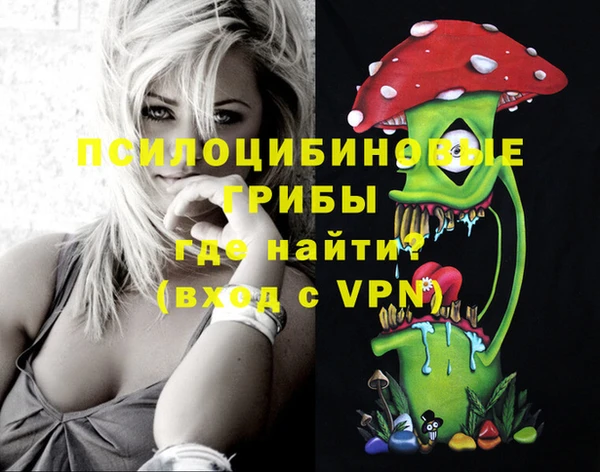 твердый Иннополис