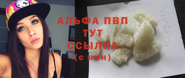 индика Зеленодольск