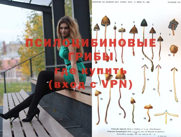 индика Зеленодольск