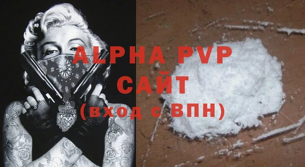 твердый Иннополис