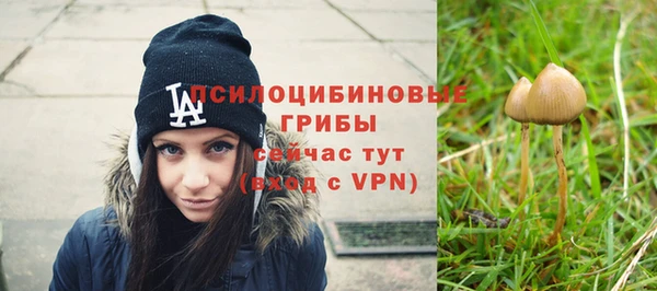 индика Зеленодольск