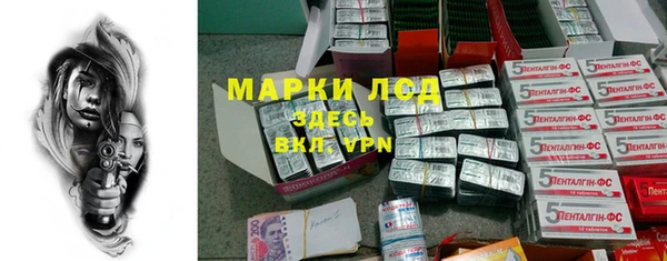 индика Зеленодольск