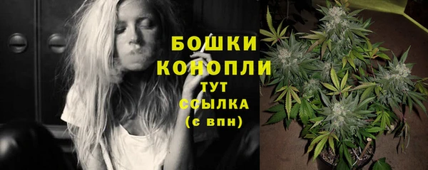 индика Зеленодольск