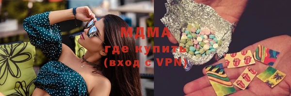 индика Зеленодольск