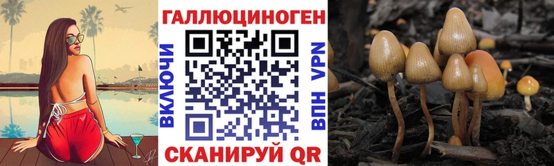 Купить закладки  Боготол  Галлюциногенные грибы мицелий 